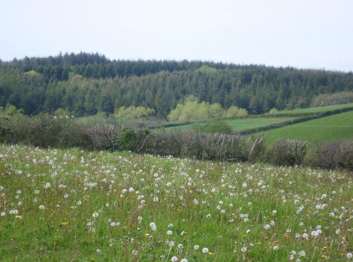 Parish Image 18